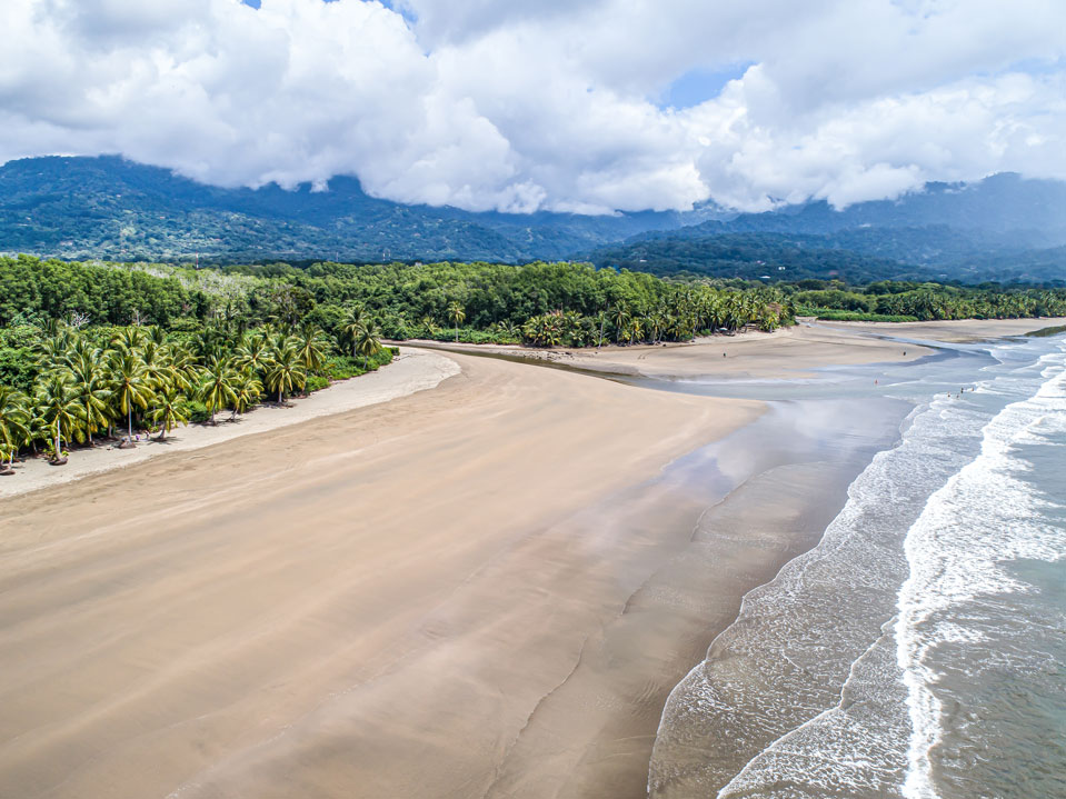 Waves crashing against the sand at Dominical Beach, near Uvita, Costa Rica, surrounded by vibrant rainforest.